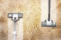 Clean Carpet TW8