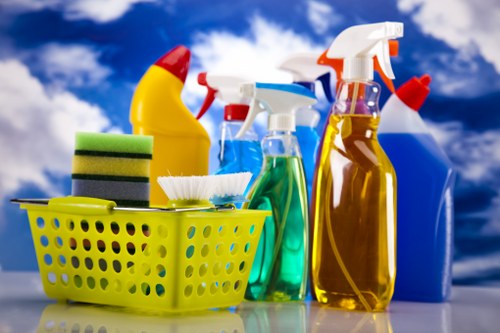 Cleaning professional in Brentford at the start of an about us article