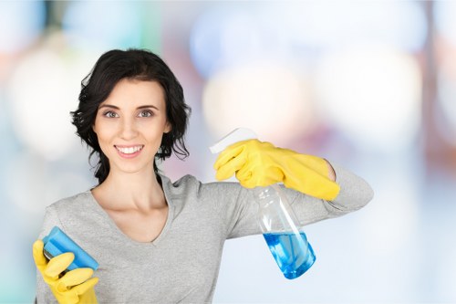 Leather and fabric sofa cleaning service in Brentford home