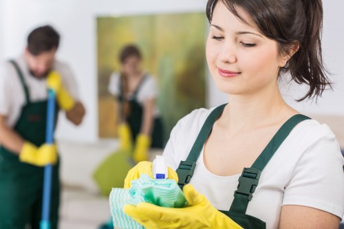 Post-construction dust removal in a Brentford property